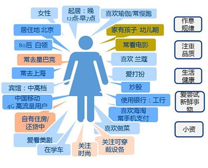 私域流量管理:打造企业专属流量池